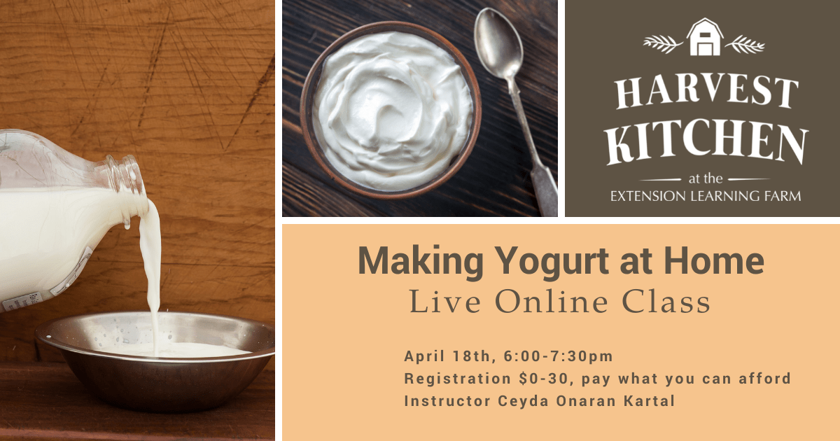 Online Workshop to Make Yogurt