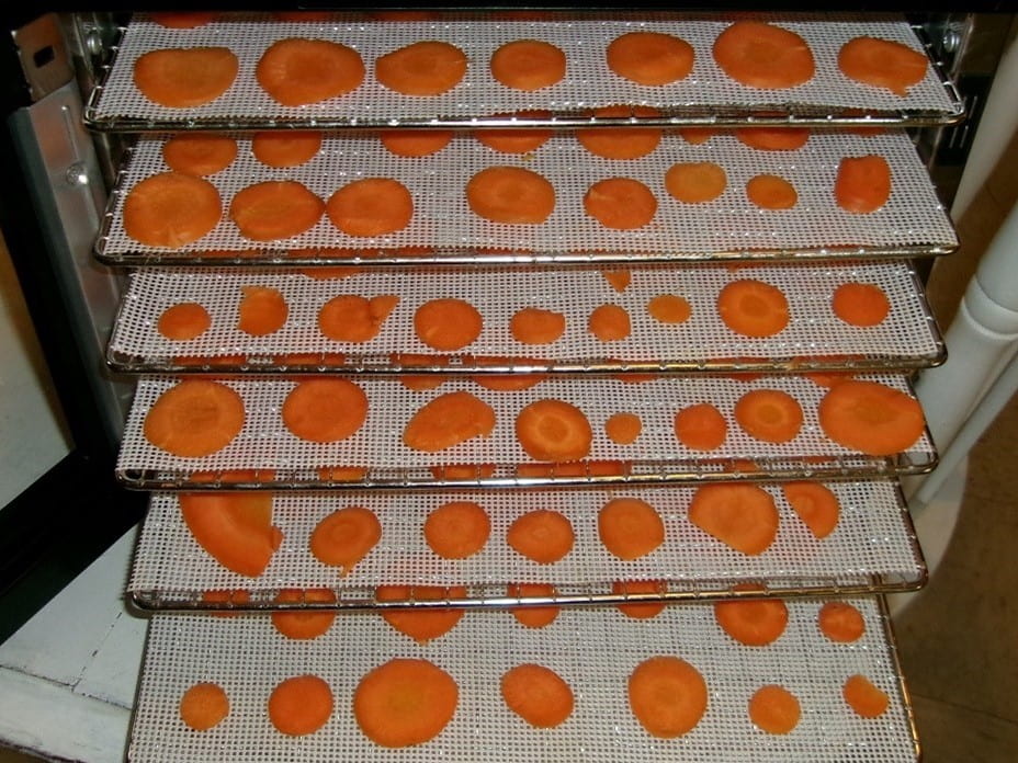 Carrots in dehydrator