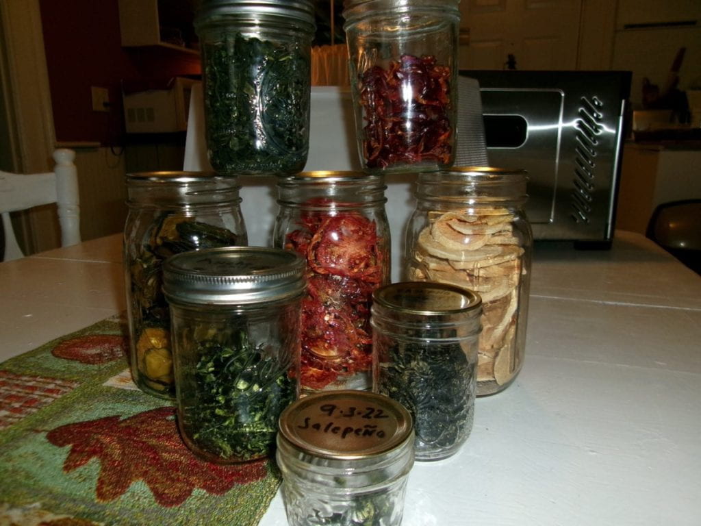 sampler of dehydrated foods