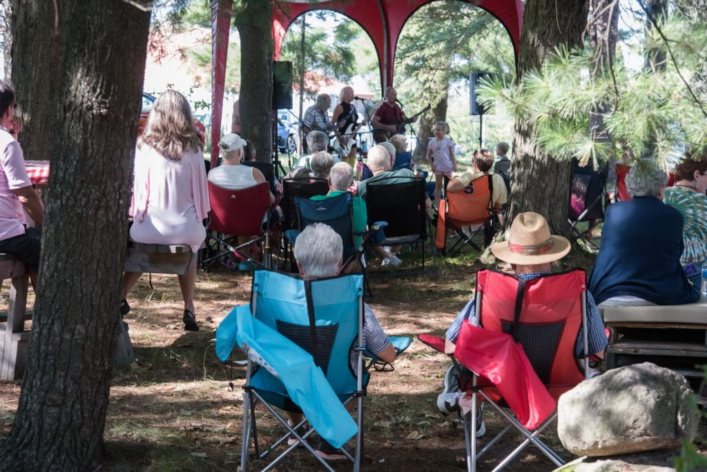 A crowd of people sit under pine trees watching a musical band perform.