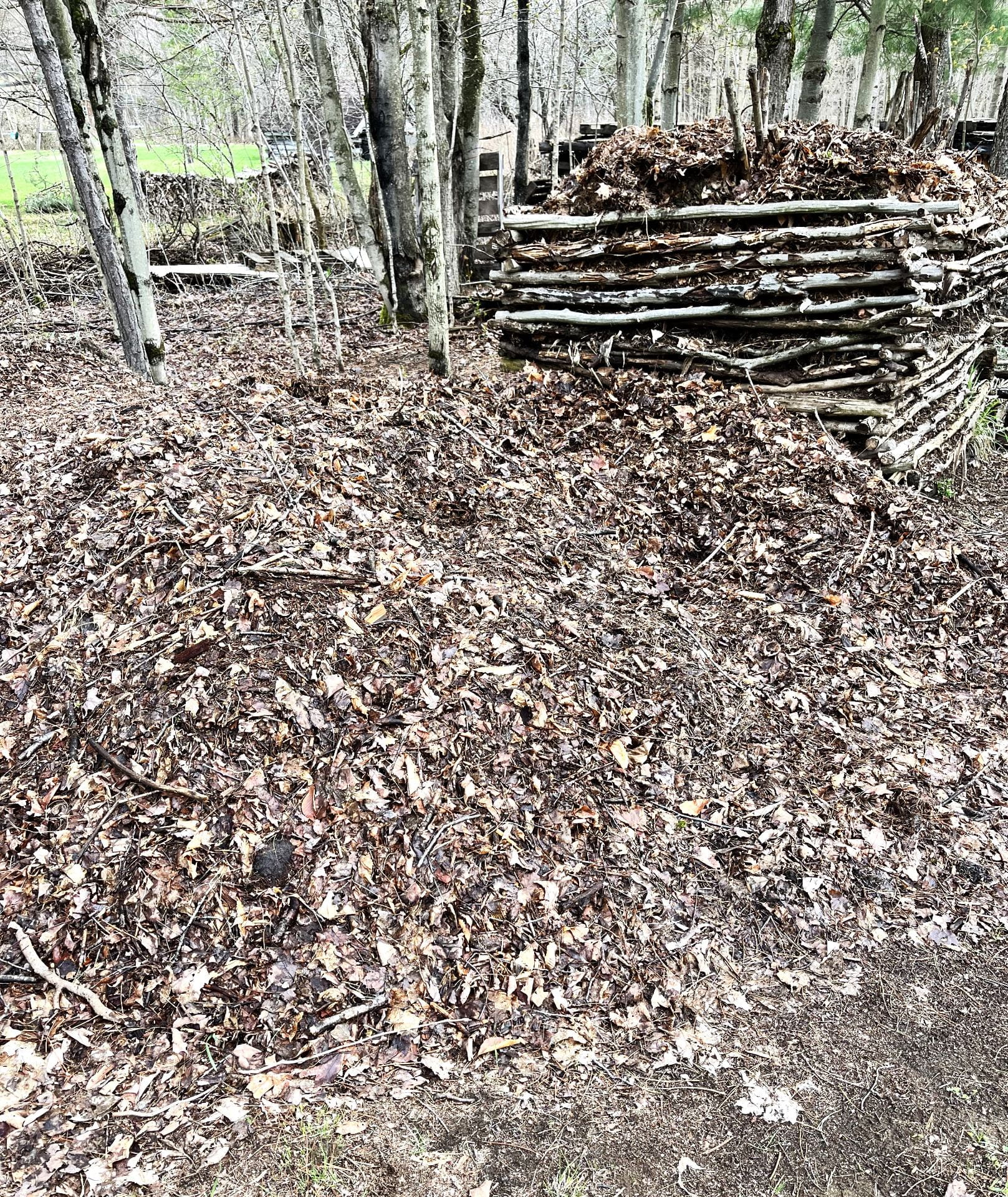 pile of leaves next to the compost pile, ready for adding later