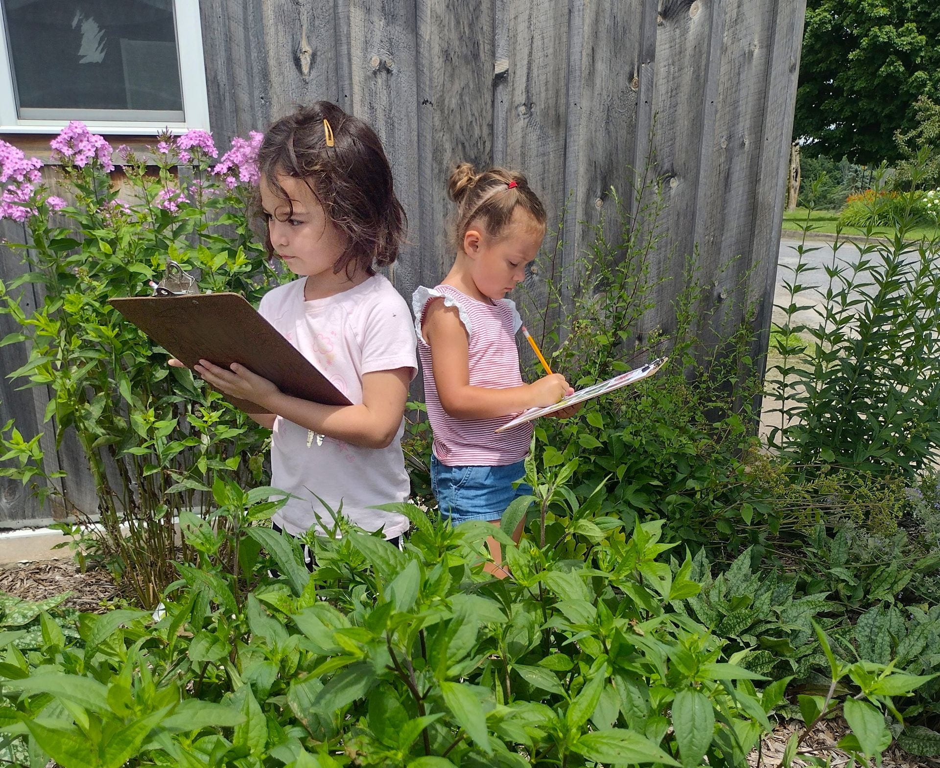 Kids doing scavenger hunt in pollinator garden