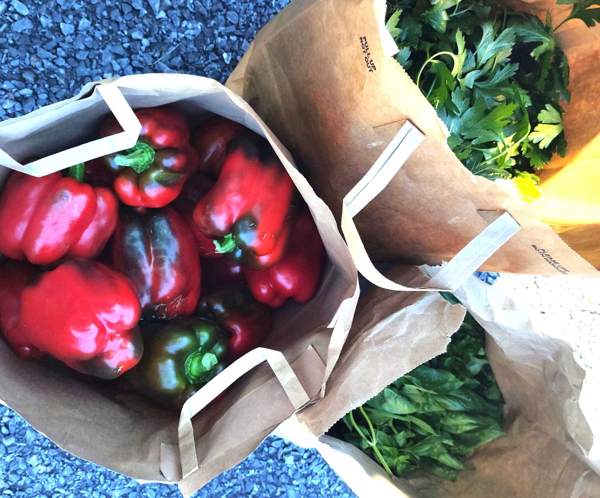 Peppers and herbs harvest by Sara for local donation