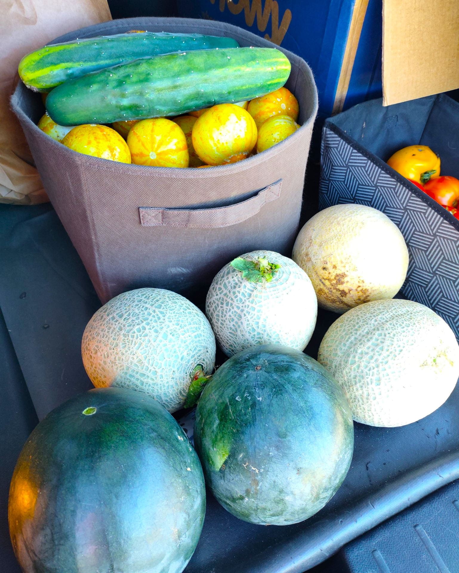 Melons and lemon cucumbers harvested from CCE for donation