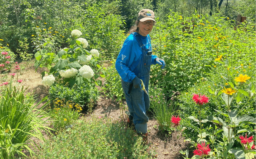 Meet Linda Carney, Master Gardener Volunteer