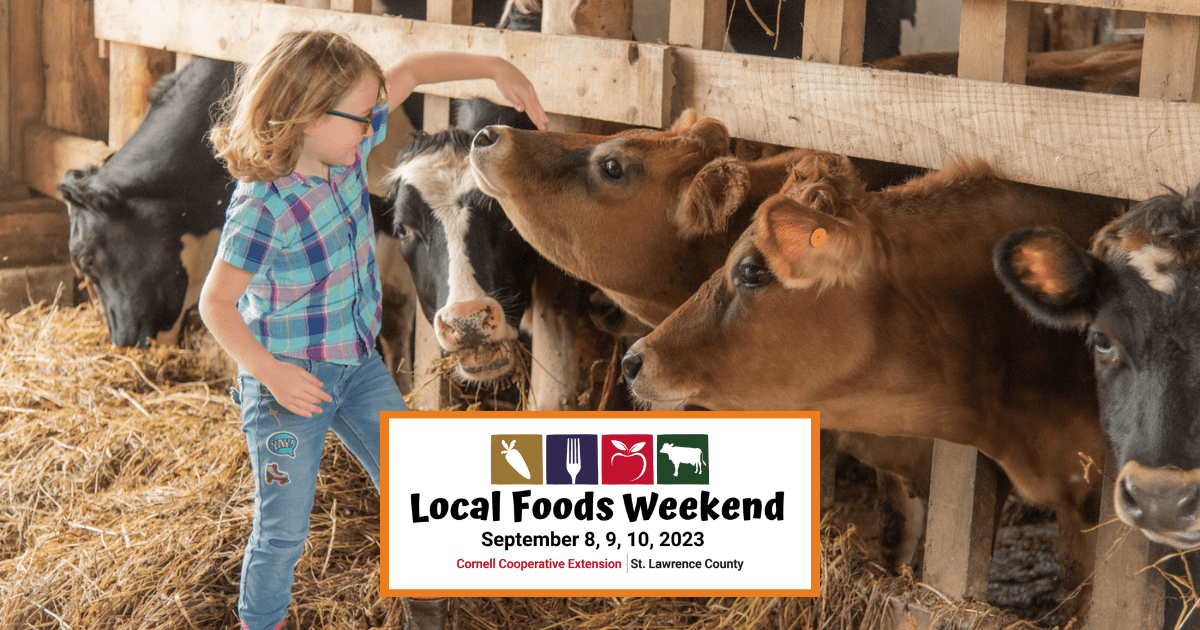 Tips for a Fun Filled Local Foods Weekend