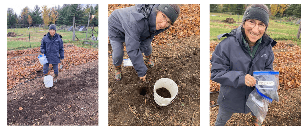 Master Gardener Volunteer, Linda Carney takes a soil sample in her garden