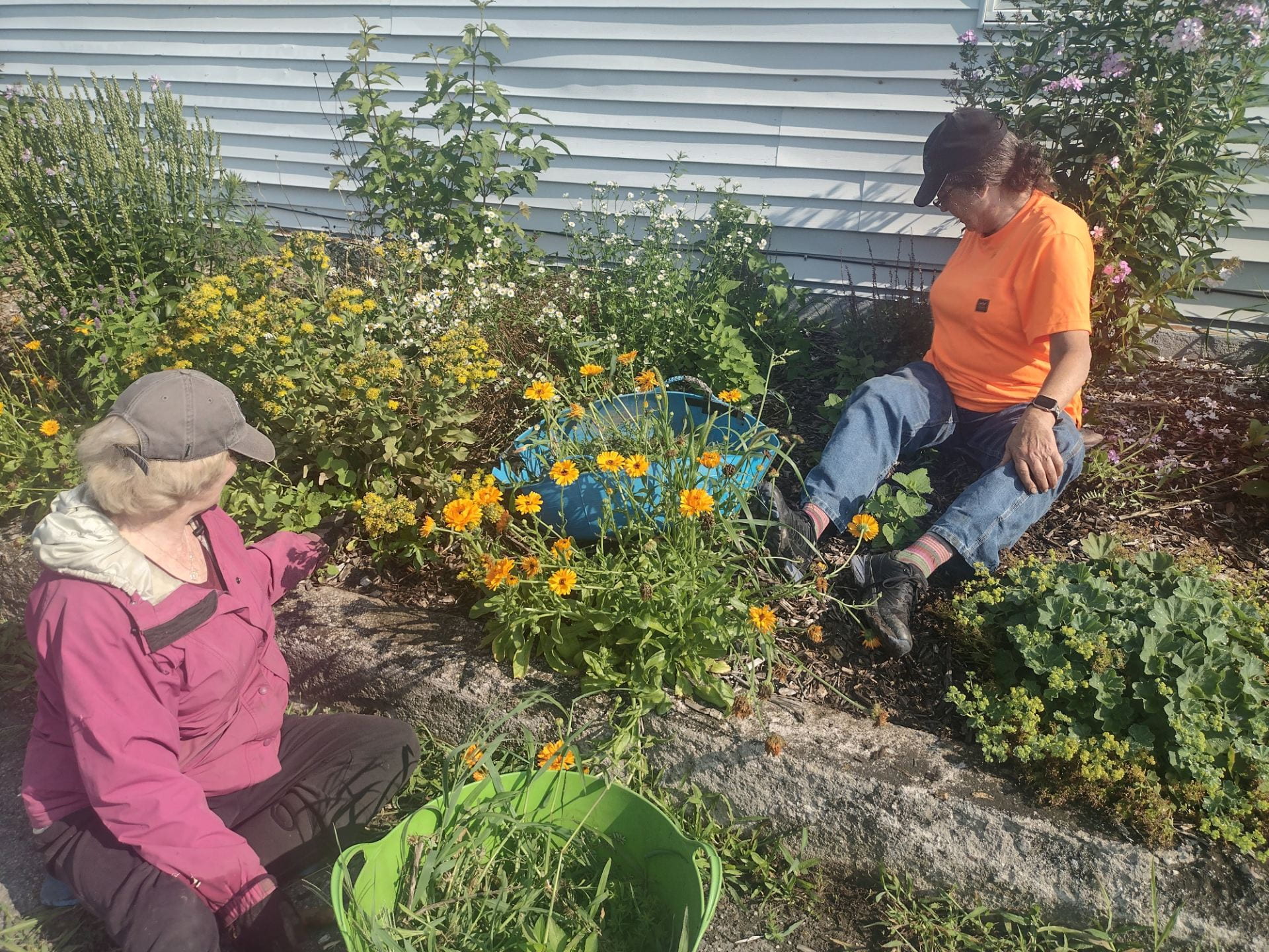 Nancy (left) and Laurie (right) weeding the pollinator garden