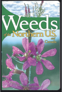 Book cover: Weeds of the Northern U.S. and Canada