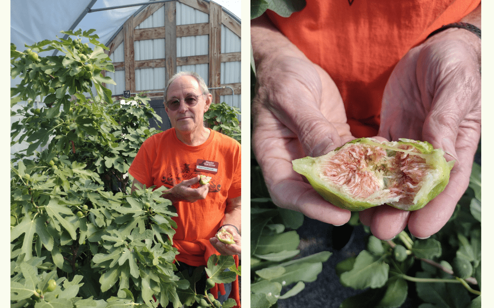 Meet Brad Pendergraft, Master Gardener Volunteer