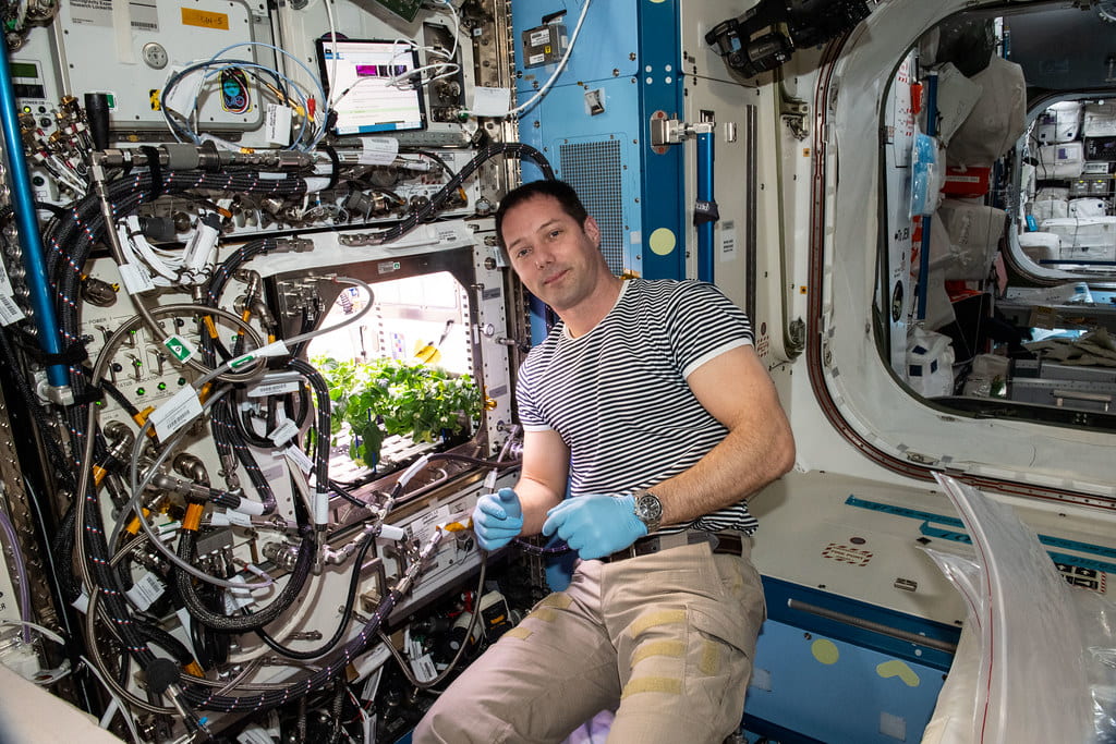 Astronaut Thomas Pesquet farms in the International Space Station's plant habitat. Credit: NASA Johnson