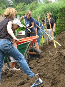 volunteers w wheelbarrows