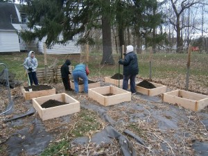 filling-raised-beds