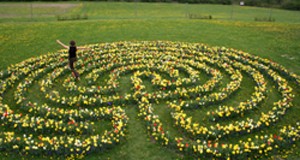 flower-maze