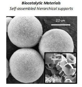 Biocatalytic materials: self-assembled hierarchical supports