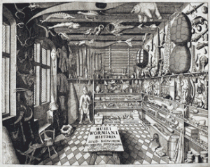 Copenhagen cabinet of curiosities of Ole Worm (1588-1654)