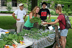 Dilmun Hill farm stand outside Mann Library on the Ag Quad