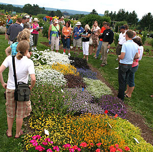Viewing beds at 2009 Cornell Floriculture Field Day