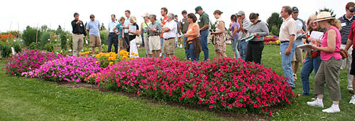 Viewing flower beds at 2009 Cornell Floriculture Field Day