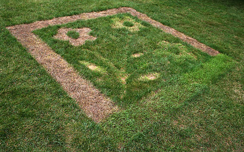 Ephemeral grass art on the Ag Quad