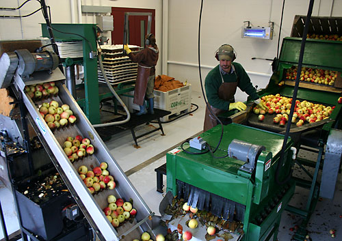 Making cider at Cornell Orchards
