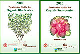 Organic berry guides