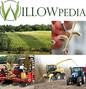 Willowpedia composite image