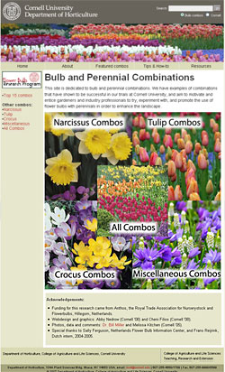 Bulb-perennial combination homepage