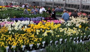 NAFWA members view Flower Bulb Research Program projects.