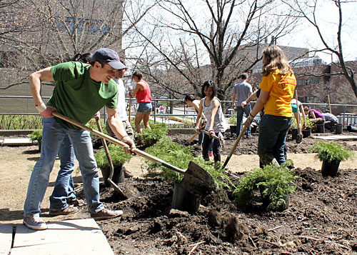 Urban Eden students planting on east side of Malott Hall