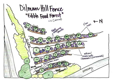 Preventing water runoff is one of the goals of student farm manager Liz Camuti’s plan for this steep slope.