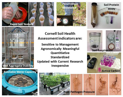 soil health test compositex400