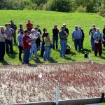 Justine Vanden Heuvel introduces attendees to new cranberry planting at Cornell Orchards.