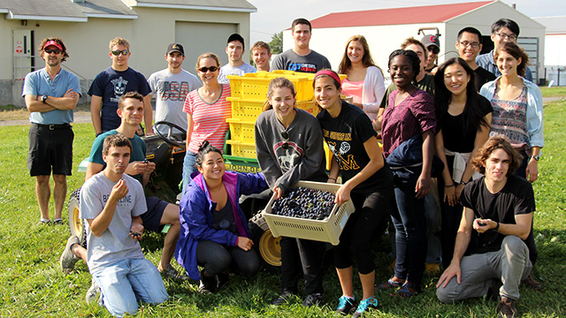 HORT 1101 students with grape harvest