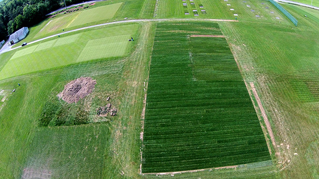done's eye view of sod planting