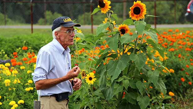 Horticulture professor Chris Wien explains his cut flower research at the Maple Avenue research facility.