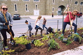 Urban Eden students plant along Garden Avenue outside Teagle Hall.