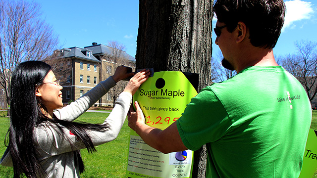 Urban Eden teaching assistants Huan Liu and Miles Schwartz Sax tag a sugar maple outside of Roberts Hall.