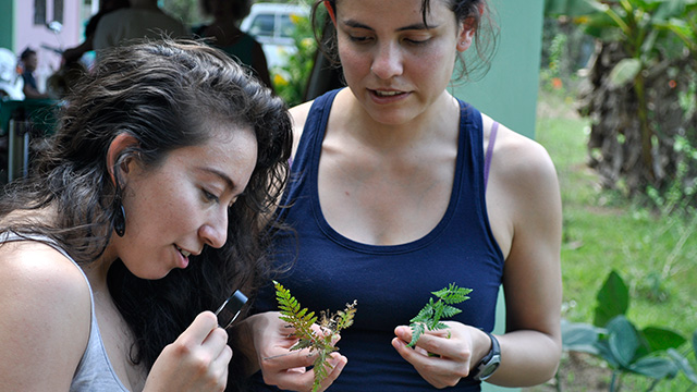 Students in the Belize group warm up with plant identification. (Photo: Sierra Murray)