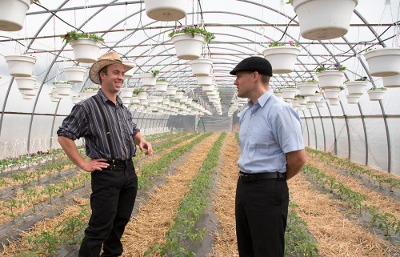 Hoover speaks with Cornell Vegetable Program specialist Judson Reid '94 in a climate-controlled high tunnel. (Photo: R.J. Anderson/Cornell Cooperative Extension)