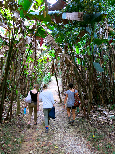 Students on their way to a new medicinal plants trail in the forest at Rio Blanco National Park. (Photo: Olivia McCandless)