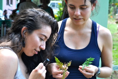 Laura Lagunez '16, left, and Camila Martinez, a graduate student in the field of plant biology, examine plants in Belize during their spring break. (Photo: Sierra Murray)