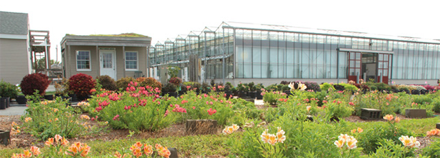 Demonstration garden and greenhouses at the Long Island Horticulture Research and Extension Center.