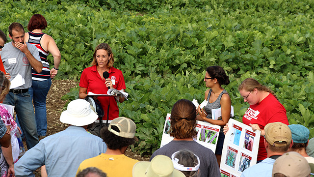 Christy Hoepting, Extension vegetable specialist for the Cornell Vegetable Program, discusses organic management of Swede midge, a growing pest problem in brassica crops.