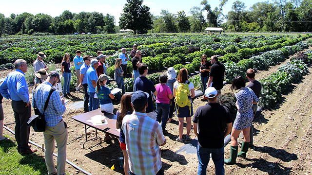 Griffiths introduces Kale Day participants to his breeding research trials.