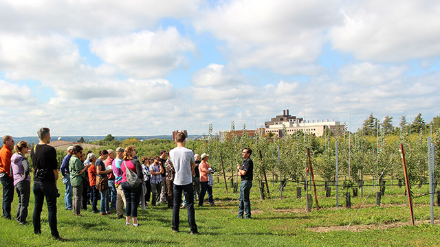 Later on the walk, participants viewed cider apple varieties newly established in a  modern, high-density planting.