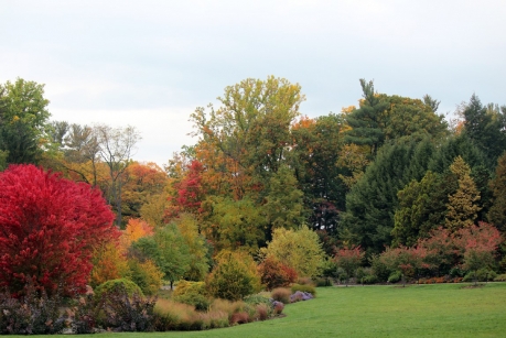 The bioswale garden, located next to the Nevin Welcome Center, is one part of the 150 acres of cultivated gardens on campus. (Photo: Jay Potter/Cornell Botanic Gardens)