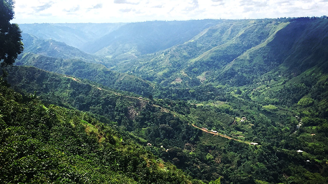 Cauca region landscape