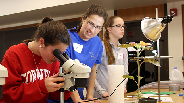 Annika Huber had middle school participants use water to transport dyes into sunflower leaf veins so they can observe their microscopic structure. 