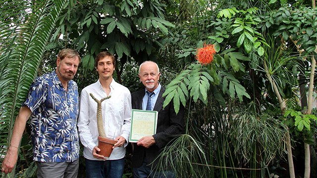 Research support specialist Ed Cobb (left) and Professor Karl Niklas present Glynos with his Young Botanist award in the Liberty Hyde Bailey Conservatory.